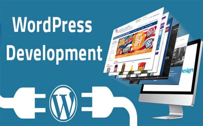 WordPress Devaelopment Company USA