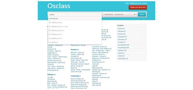 classified website development