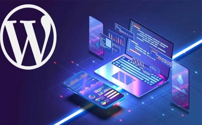consultants on WordPress and Website Design